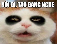 Ảnh Meme Ngủ Chung