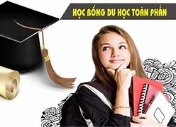 Các Trường Đại Học Ở Mỹ Có Học Bổng Toàn Phần Không Ạ