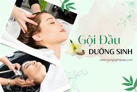 Cách Làm Gội Đầu Dưỡng Sinh