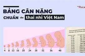 Cân Nặng Thai Nhi 28 Tuần