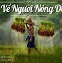 Câu Đố Về Cây Lúa