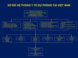 Hệ Thống Ngành Kinh Tế Ở Việt Nam