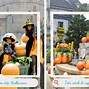 Lễ Hội Halloween Ở Đà Nẵng 2024 Là Gì