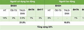 Mức Đóng Bhxh Bắt Buộc Bhtn Bhyt Năm 2023