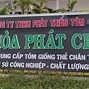 Tôm Giống Cp Ninh Thuận